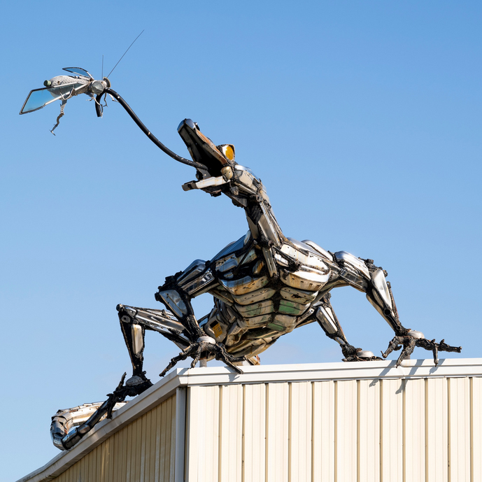 Large metal scrap sculpture of a frog catching a mosquito, perched on the rooftop of a building against a blue sky