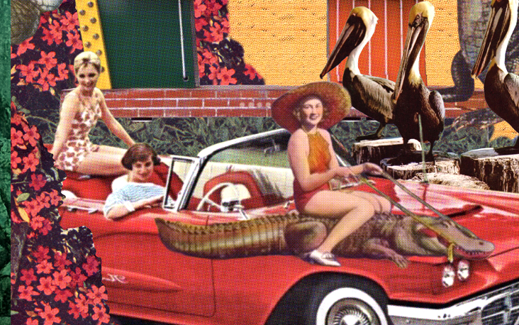 Retro collage of three women with a red convertible, pelicans, and an alligator in a tropical setting