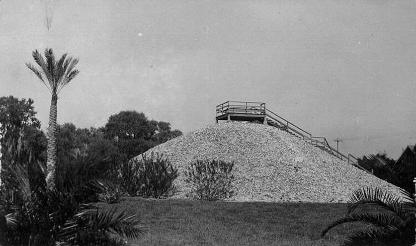 Historic black-and-white photo of a large shell mound with a viewing platform and staircase at the top, surrounded by palm trees and vegetation