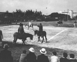 Men on donkeys playing baseball at waterfront park. c. 1942 Black and white photo of players riding donkeys on a baseball field while spectators watch from the foreground