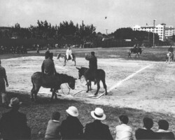 Men on donkeys playing baseball at waterfront park. c. 1942