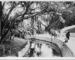 Booker Creek in Roser Park. c. 1930 Booker Creek in Roser Park. c. 1930