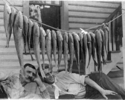 G.A. Churchill and Alec McRae at Pass-a-Grille with big fish catch. c. 1915