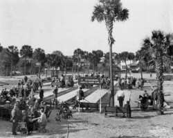 St. Petersburg Shuffleboard Club courts in action. c. 1925.