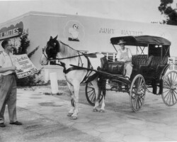 Horse and buggy promoting Aunt Hattie's Restaurant. c. 1950 Horse and buggy promoting Aunt Hattie's Restaurant. c. 1950