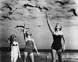 Three women in bathing suits pose with seagulls for a beach promotion. c. 1940. Three women in bathing suits pose with seagulls for a beach promotion. c. 1940.
