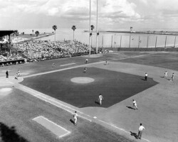 Mets and Cardinals during spring training at Al Lang Field. c. 1975.