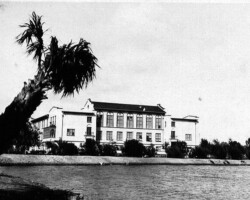 Historic black-and-white photo of a large multi-story building along a waterfront, with a leaning palm tree in the foreground