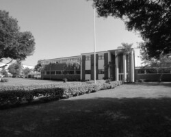 Exterior of a mid-century institutional building with a flagpole, manicured shrubs, and palm trees on a sunny day