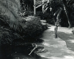 Reflective pools of light and water, dense tropical foliage, and the early morning solitude all lend to the enjoyment of a stroll through St. Pete's World-Famous Sunken Gardens. Reflective pools of light and water, dense tropical foliage, and the early morning solitude all lend to the enjoyment of a stroll through St. Pete's World-Famous Sunken Gardens.
