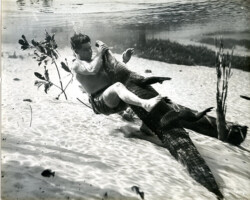 Man wrestles alligator underwater. Possibly at Silver Springs State Park.