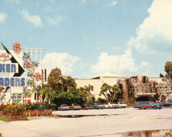 A virtual paradise of birds and flowers, beautiful and spectacular Sunken Gardens located on 4th Street North. Vintage postcard of Beautiful Sunken Gardens in St. Petersburg, Florida, showing the roadside sign and entrance with 1960s-era cars in the parking lot